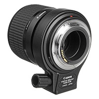 Canon MP-E 65mm F 2.8 1-5x Macro